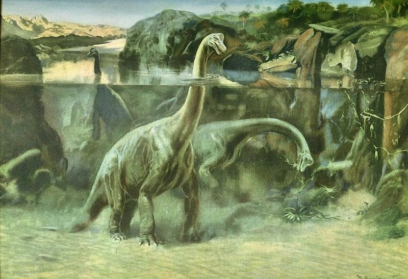 Файл:Brachiosaurus.jpg